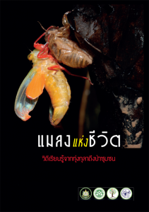 Book Cover: แมลงแห่งชีวิต วิถีเรียนรู้จากทุ่งกุลาถึงป่าชุมชน