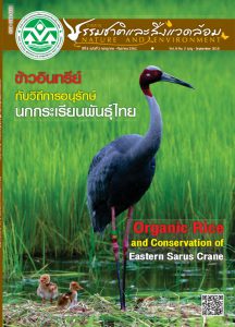 Book Cover: วารสารธรรมชาติและสิ่งแวดล้อม ปีที่ 8 ฉบับที่ 3 กรกฎาคม – กันยายน 2562