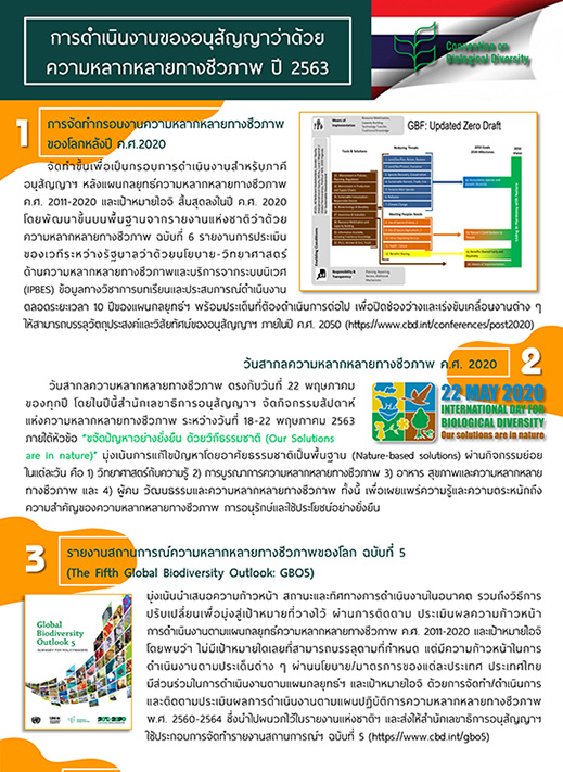 Book Cover: การดำเนินงานของอนุสัญญาว่าด้วยความหลากหลายทางชีวภาพ ปี 2563