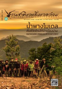 Book Cover: วารสารธรรมชาติและสิ่งแวดล้อม ปีที่ 11 ฉบับที่ 1 มกราคม - มิถุนายน 2565