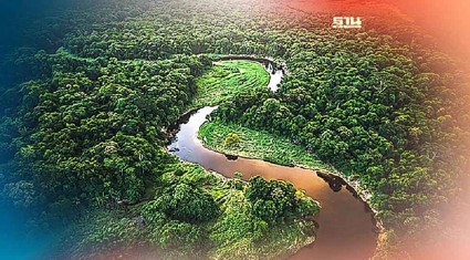 ป่าแอมะซอน ปอดของโลก ในวันที่ถูกคุกคาม