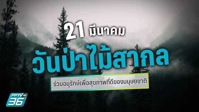 21 มีนาคม “วันป่าไม้สากล” อนุรักษ์ผืนป่าเพื่อสุขภาพที่ดีของมนุษยชาติ 21 มีนาคม “วันป่าไม้สากล” อนุรักษ์ผืนป่าเพื่อสุขภาพที่ดีของมนุษยชาติ