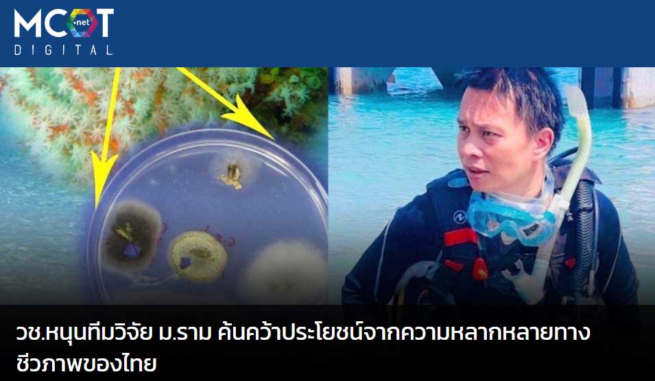 วช. หนุนทีมวิจัย ม.ราม ค้นคว้าประโยชน์จากความหลากหลายทางชีวภาพของไทย วช. หนุนทีมวิจัย ม.ราม ค้นคว้าประโยชน์จากความหลากหลายทางชีวภาพของไทย