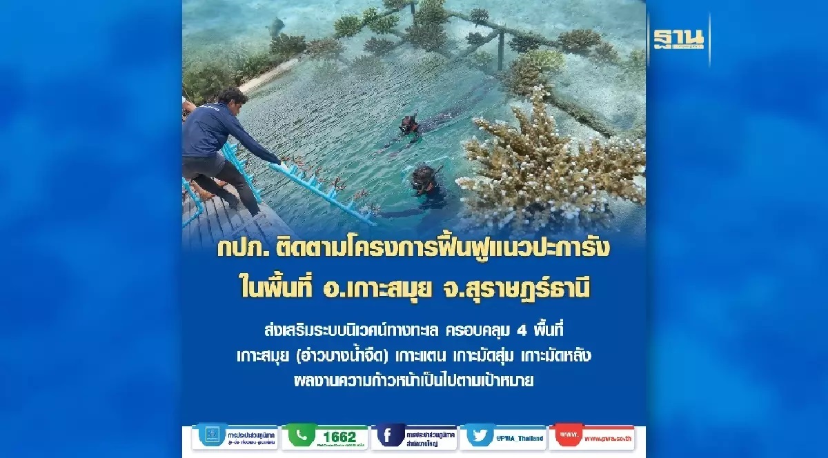 กปภ. ติดตามโครงการฟื้นฟูปะการังเกาะสมุย ผลงานน่าชื่นใจ กปภ. ติดตามโครงการฟื้นฟูปะการังเกาะสมุย ผลงานน่าชื่นใจ