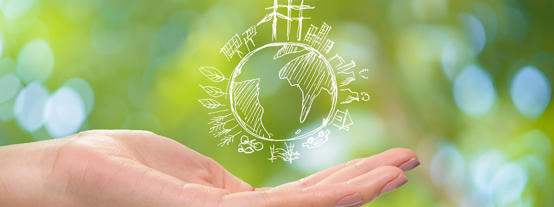 สิงคโปร์ Green policy : เมื่อเงินที่แจกมีเหตุผลเพื่อสิ่งแวดล้อม สิงคโปร์ Green policy : เมื่อเงินที่แจกมีเหตุผลเพื่อสิ่งแวดล้อม