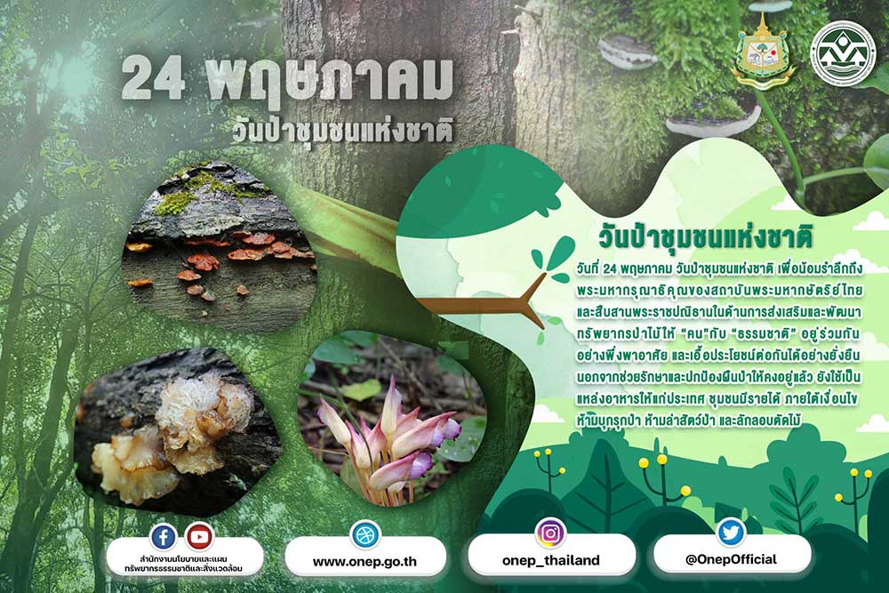 วันที่ 24 พฤษภาคม วันป่าชุมชนแห่งชาติ สืบเนื่องจากพระบาทสมเด็จพระปรเมนทรรามาธิบดีศรีสินทรมหาวชิราลงกรณ พระวชิรเกล้าเจ้าอยู่หัว ทรงพระกรุณาโปรดเกล้าฯ ให้ตราพระราชบัญญัติป่าชุมชน พ.ศ.2562 อีกทั้งเพื่อเป็นการเทิดพระเกียรติ น้อมรำลึกถึงพระมหากรุณาธิคุณของสถาบันพระมหากษัตริย์ไทย และสืบสานพระราชปณิธานในด้านการส่งเสริมและพัฒนาทรัพยากรป่าไม้ให้ “คน”กับ “ธรรมชาติ” อยู่ร่วมกันอย่างพึ่งพาอาศัย และเอื้อประโยชน์ต่อกันได้อย่างยั่งยืน นอกจากช่วยรักษาและปกป้องผืนป่าให้คงอยู่แล้ว ยังใช้เป็นแหล่งอาหารให้แก่ประเทศ ชุมชนมีรายได้ ภายใต้เงื่อนไขห้ามบุกรุกป่า ห้ามล่าสัตว์ป่า และลักลอบตัดไม้