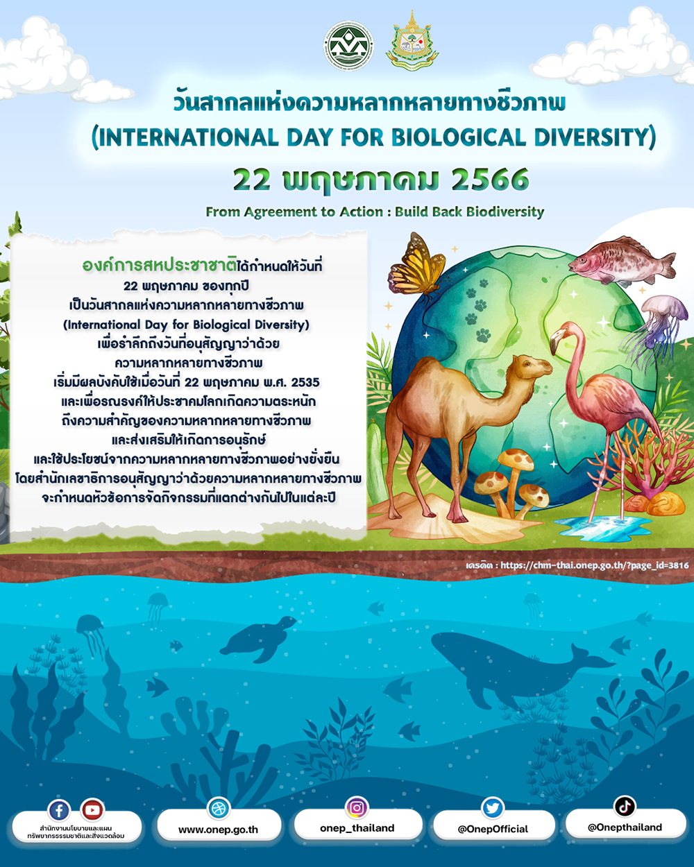 รูปโปรเตอร์วันสากลแห่งความหลากหลายทางชีวภาพ(International Day for Biological Diversity: IDB) วันที่ 22 พฤษภาคม ของทุกปี 