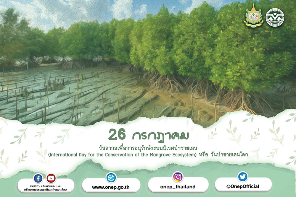 วันที่ 26 กรกฏาคม ของทุกปี เป็นวันสากลเพื่อการอนุรักษ์ระบบนิเวศป่าชายเลน (International Day for the Conservation of the Mangrove Ecosystem) หรือ วันป่าชายเลนโลก ป่าชายเลนเป็นอีกหนึ่งพื้นที่ที่ช่วยกักเก็บปริมาณก๊าชคาร์บอนไดออกไซด์ แน่นอนว่าปัจจุบันในอากาศนั้นเต็มไปด้วยก๊าซคาร์บอนไดออกไซด์ ซึ่งป่าชายเลนนั้นมีอัตราการสังเคราะห์แสงที่สูงมาก และยังช่วยผลิตออกซิเจนจำนวนมากอีกด้วย จากปัญหาภาวะโลกร้อนและการแปรปรวนของสภาพภูมิอากาศ อันเนื่องมาจากการปลดปล่อยก๊าซเรือนกระจกสู่บรรยากาศที่มากเกินไป ได้นำมาสู่ข้อตกลงปารีส (Paris Agreement) ที่หลายประเทศทั่วโลก รวมถึงประเทศไทยต้องหาทางลดการปล่อยก๊าซเรือนกระจก ซึ่งการปลูกป่าโดยเฉพาะป่าชายเลนถือเป็นอีกหนึ่งความหวังสำคัญในการนำมาใช้แลกเปลี่ยนคาร์บอนเครดิต หรือใช้ในการชดเชยการปล่อยก๊าซเรือนกระจก ดังนั้นการร่วมกันขับเคลื่อนการปลูกป่าชายเลน นอกจากจะได้รับประโยชน์จากคาร์บอนเครดิตแล้ว ยังแก้ไขปัญหาสิ่งแวดล้อม กระตุ้นให้เกิดการอนุรักษ์และรักษาทรัพยากรป่าไม้ ให้ยั่งยืนต่อไป วันที่ 26 กรกฏาคม ของทุกปี เป็นวันสากลเพื่อการอนุรักษ์ระบบนิเวศป่าชายเลน (International Day for the Conservation of the Mangrove Ecosystem) หรือ วันป่าชายเลนโลก
ป่าชายเลนเป็นอีกหนึ่งพื้นที่ที่ช่วยกักเก็บปริมาณก๊าชคาร์บอนไดออกไซด์ แน่นอนว่าปัจจุบันในอากาศนั้นเต็มไปด้วยก๊าซคาร์บอนไดออกไซด์ ซึ่งป่าชายเลนนั้นมีอัตราการสังเคราะห์แสงที่สูงมาก และยังช่วยผลิตออกซิเจนจำนวนมากอีกด้วย จากปัญหาภาวะโลกร้อนและการแปรปรวนของสภาพภูมิอากาศ อันเนื่องมาจากการปลดปล่อยก๊าซเรือนกระจกสู่บรรยากาศที่มากเกินไป ได้นำมาสู่ข้อตกลงปารีส (Paris Agreement) ที่หลายประเทศทั่วโลก รวมถึงประเทศไทยต้องหาทางลดการปล่อยก๊าซเรือนกระจก ซึ่งการปลูกป่าโดยเฉพาะป่าชายเลนถือเป็นอีกหนึ่งความหวังสำคัญในการนำมาใช้แลกเปลี่ยนคาร์บอนเครดิต หรือใช้ในการชดเชยการปล่อยก๊าซเรือนกระจก ดังนั้นการร่วมกันขับเคลื่อนการปลูกป่าชายเลน นอกจากจะได้รับประโยชน์จากคาร์บอนเครดิตแล้ว ยังแก้ไขปัญหาสิ่งแวดล้อม กระตุ้นให้เกิดการอนุรักษ์และรักษาทรัพยากรป่าไม้ ให้ยั่งยืนต่อไป