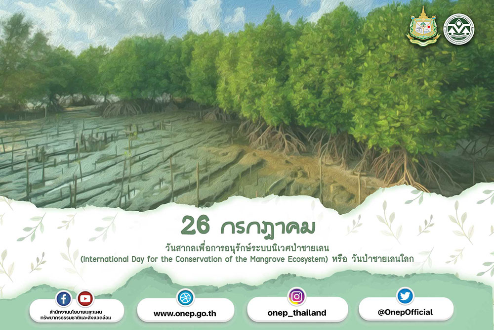 วันที่ 26 กรกฏาคม ของทุกปี เป็นวันสากลเพื่อการอนุรักษ์ระบบนิเวศป่าชายเลน (International Day for the Conservation of the Mangrove Ecosystem) หรือ วันป่าชายเลนโลก
ป่าชายเลนเป็นอีกหนึ่งพื้นที่ที่ช่วยกักเก็บปริมาณก๊าชคาร์บอนไดออกไซด์ แน่นอนว่าปัจจุบันในอากาศนั้นเต็มไปด้วยก๊าซคาร์บอนไดออกไซด์ ซึ่งป่าชายเลนนั้นมีอัตราการสังเคราะห์แสงที่สูงมาก และยังช่วยผลิตออกซิเจนจำนวนมากอีกด้วย จากปัญหาภาวะโลกร้อนและการแปรปรวนของสภาพภูมิอากาศ อันเนื่องมาจากการปลดปล่อยก๊าซเรือนกระจกสู่บรรยากาศที่มากเกินไป ได้นำมาสู่ข้อตกลงปารีส (Paris Agreement) ที่หลายประเทศทั่วโลก รวมถึงประเทศไทยต้องหาทางลดการปล่อยก๊าซเรือนกระจก ซึ่งการปลูกป่าโดยเฉพาะป่าชายเลนถือเป็นอีกหนึ่งความหวังสำคัญในการนำมาใช้แลกเปลี่ยนคาร์บอนเครดิต หรือใช้ในการชดเชยการปล่อยก๊าซเรือนกระจก ดังนั้นการร่วมกันขับเคลื่อนการปลูกป่าชายเลน นอกจากจะได้รับประโยชน์จากคาร์บอนเครดิตแล้ว ยังแก้ไขปัญหาสิ่งแวดล้อม กระตุ้นให้เกิดการอนุรักษ์และรักษาทรัพยากรป่าไม้ ให้ยั่งยืนต่อไป