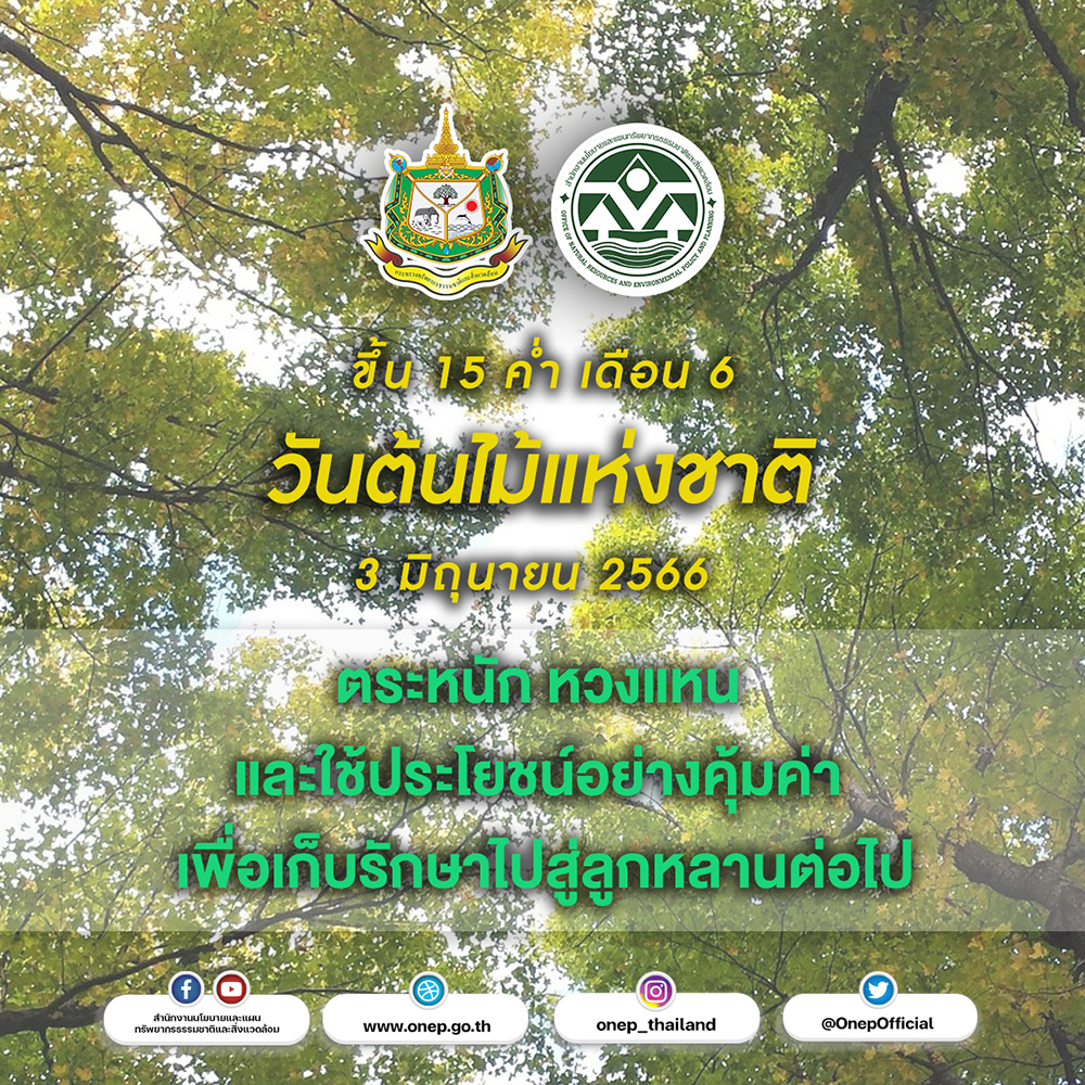 วันที่ 3 มิถุนายน วันต้นไม้แห่งชาติ วันที่ 3 มิถุนายน วันต้นไม้แห่งชาติ