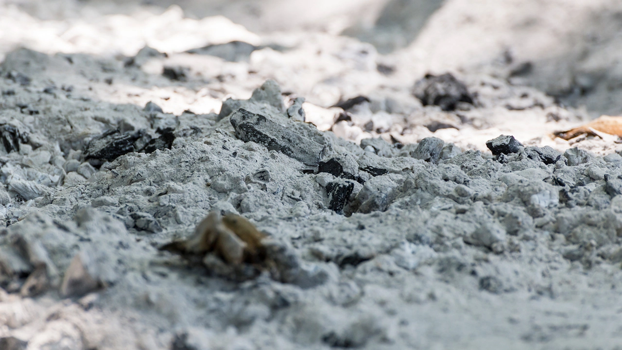 ถ่านชีวภาพหรือไบโอชาร์ (Biochar) ถ่านชีวภาพหรือไบโอชาร์ (Biochar)