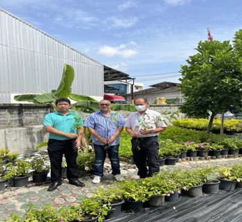 ประชาชนร่วมปลูกต้นไม้ ประชาชนร่วมปลูกต้นไม้