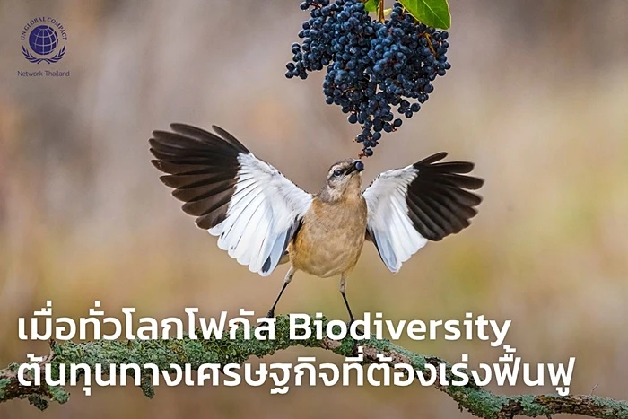 สมาคมเครือข่ายโกลบอลคอมแพ็กแห่งประเทศไทย (UNGCNT) ได้จัดทำรายงาน SDGs Mega Trend 2023 ระบุ 5 แนวโน้มสำคัญ เป็นประเด็นเร่งบรรลุเป้าหมายการพัฒนาที่ยั่งยืน สมาคมเครือข่ายโกลบอลคอมแพ็กแห่งประเทศไทย (UNGCNT) ได้จัดทำรายงาน SDGs Mega Trend 2023 ระบุ 5 แนวโน้มสำคัญ เป็นประเด็นเร่งบรรลุเป้าหมายการพัฒนาที่ยั่งยืน