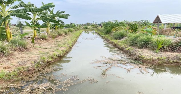 ไร่นาที่สำหรับนำมาทำโคก หนอง นา ไร่นาที่สำหรับนำมาทำโคก หนอง นา