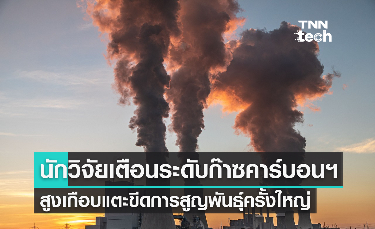 นักวิจัยเตือนระดับก๊าซคาร์บอนฯ สูง เกือบแตะขีดการสูญพันธุ์ครั้งใหญ่ นักวิจัยเตือนระดับก๊าซคาร์บอนฯ สูง เกือบแตะขีดการสูญพันธุ์ครั้งใหญ่