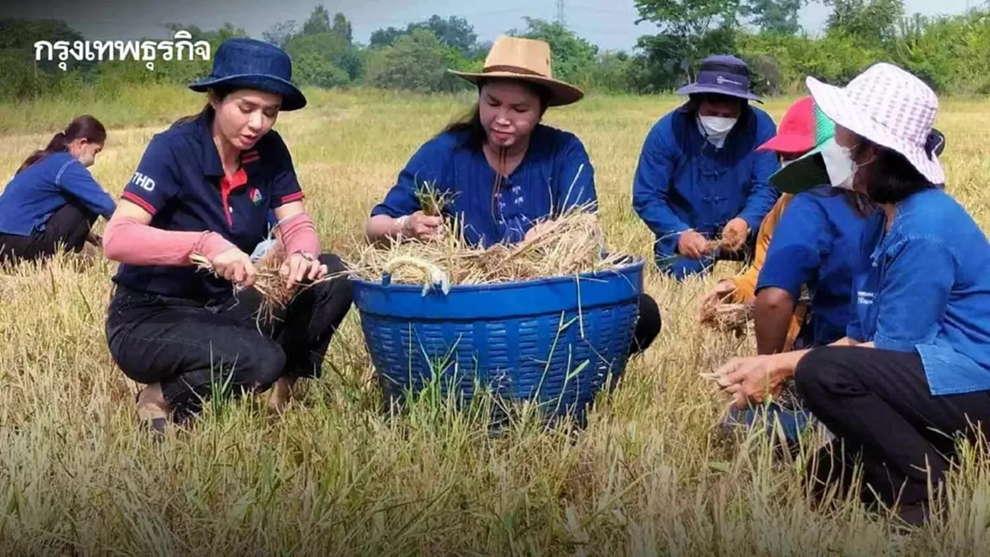 คราฟท์เบียร์ 'ตอซังข้าว' ลดโลกร้อน-ฟื้นสิ่งแวดล้อม คราฟท์เบียร์ 'ตอซังข้าว' ลดโลกร้อน-ฟื้นสิ่งแวดล้อม