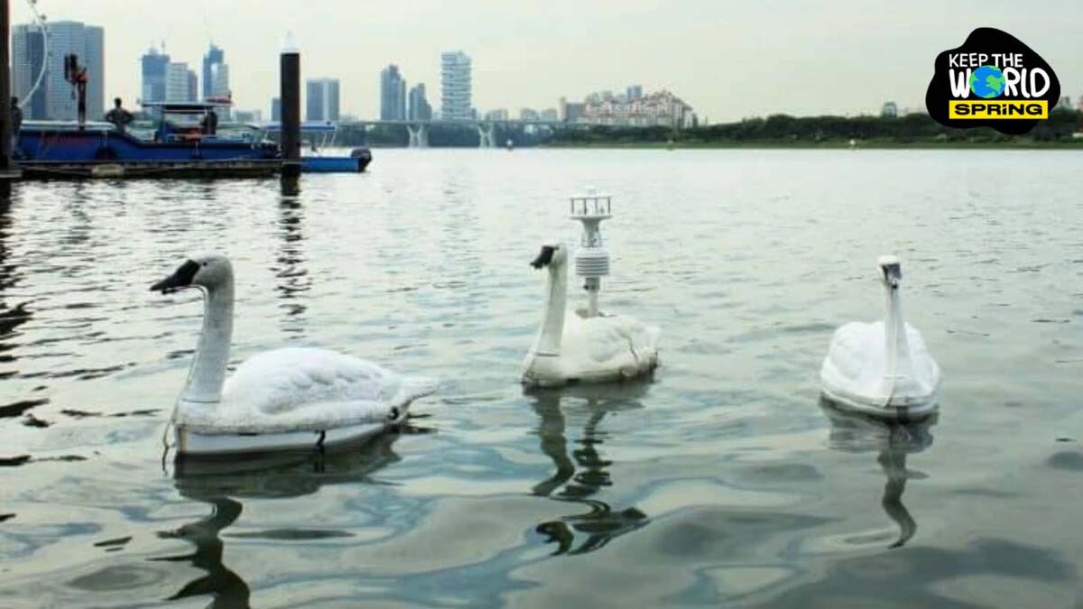 หุ่นยนต์ห่านตรวจวัดคุณภาพน้ำ เฝ้าระวังน้ำเสีย แถมทำให้ทัศนียภาพสวยงาม หุ่นยนต์ห่านตรวจวัดคุณภาพน้ำ เฝ้าระวังน้ำเสีย แถมทำให้ทัศนียภาพสวยงาม