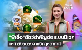 ผีเสื้อ เป็นสัตว์สำคัญต่อระบบนิเวศ ผีเสื้อ เป็นสัตว์สำคัญต่อระบบนิเวศ