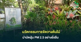 การจัดวาต้นไม้มีส่วนช่วยลดฝุ่น PM 2.5