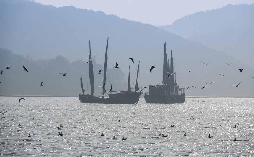 ความหลากหลายทางชีวภาพใน 'ทะเลสาบไท่หู' ของจีน ปรับปรุงดีขึ้น ความหลากหลายทางชีวภาพใน 'ทะเลสาบไท่หู' ของจีน ปรับปรุงดีขึ้น