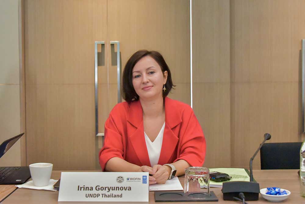 Irina Goryunova โครงการพัฒนาแห่งสหประชาชาติ (UNDP) ประเทศไทย Irina Goryunova โครงการพัฒนาแห่งสหประชาชาติ (UNDP) ประเทศไทย