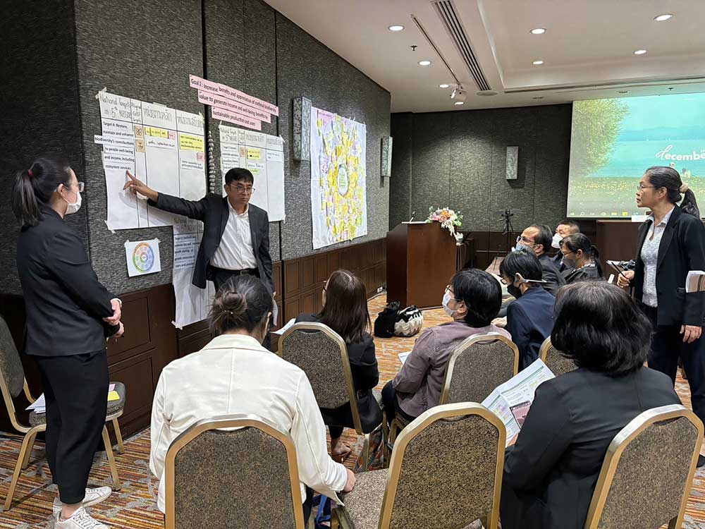 การประชุมมีวัตถุประสงค์เพื่อหารือประเด็นหลักและจัดลำดับความสำคัญของเป้าหมายระดับชาติและประเด็นยุทธศาสตร์สำหรับ NBSAPs ฉบับที่ 5 และเพื่อร่วมกันกำหนดเป้าหมายและตัวชี้วัดระดับชาติของ NBSAPs การประชุมมีวัตถุประสงค์เพื่อหารือประเด็นหลักและจัดลำดับความสำคัญของเป้าหมายระดับชาติและประเด็นยุทธศาสตร์สำหรับ NBSAPs ฉบับที่ 5 และเพื่อร่วมกันกำหนดเป้าหมายและตัวชี้วัดระดับชาติของ NBSAPs