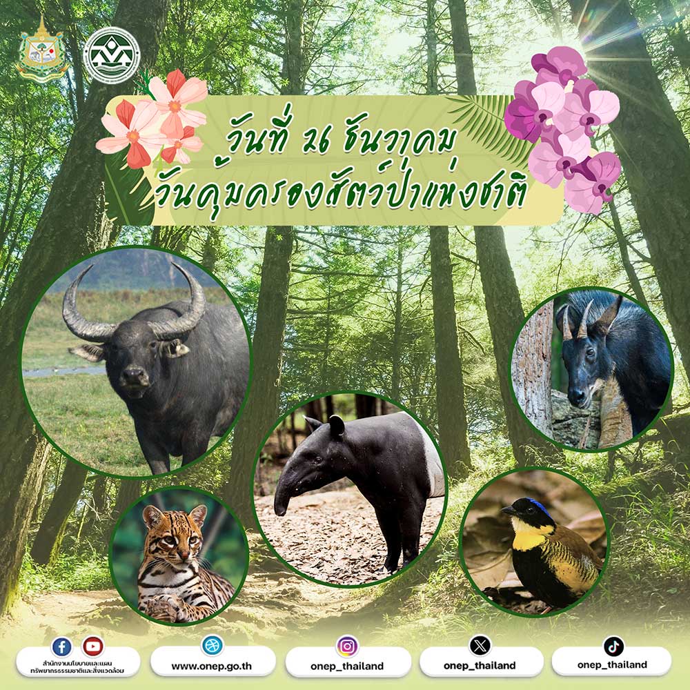 วันคุ้มครองสัตว์ป่าแห่งชาติ วันคุ้มครองสัตว์ป่าแห่งชาติ