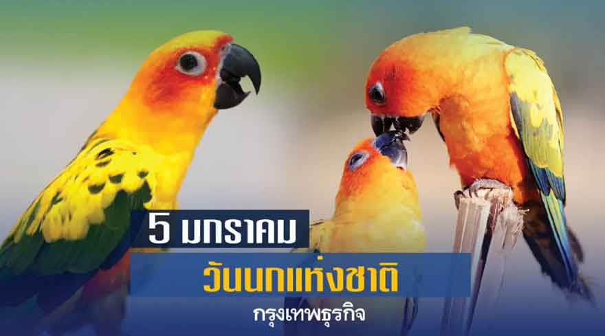 5 มกราคม วันนกแห่งชาติ ร่วมกันสร้างความตระหนักรู้ปัญหาการลดลงของประชากรนก 5 มกราคม วันนกแห่งชาติ ร่วมกันสร้างความตระหนักรู้ปัญหาการลดลงของประชากรนก