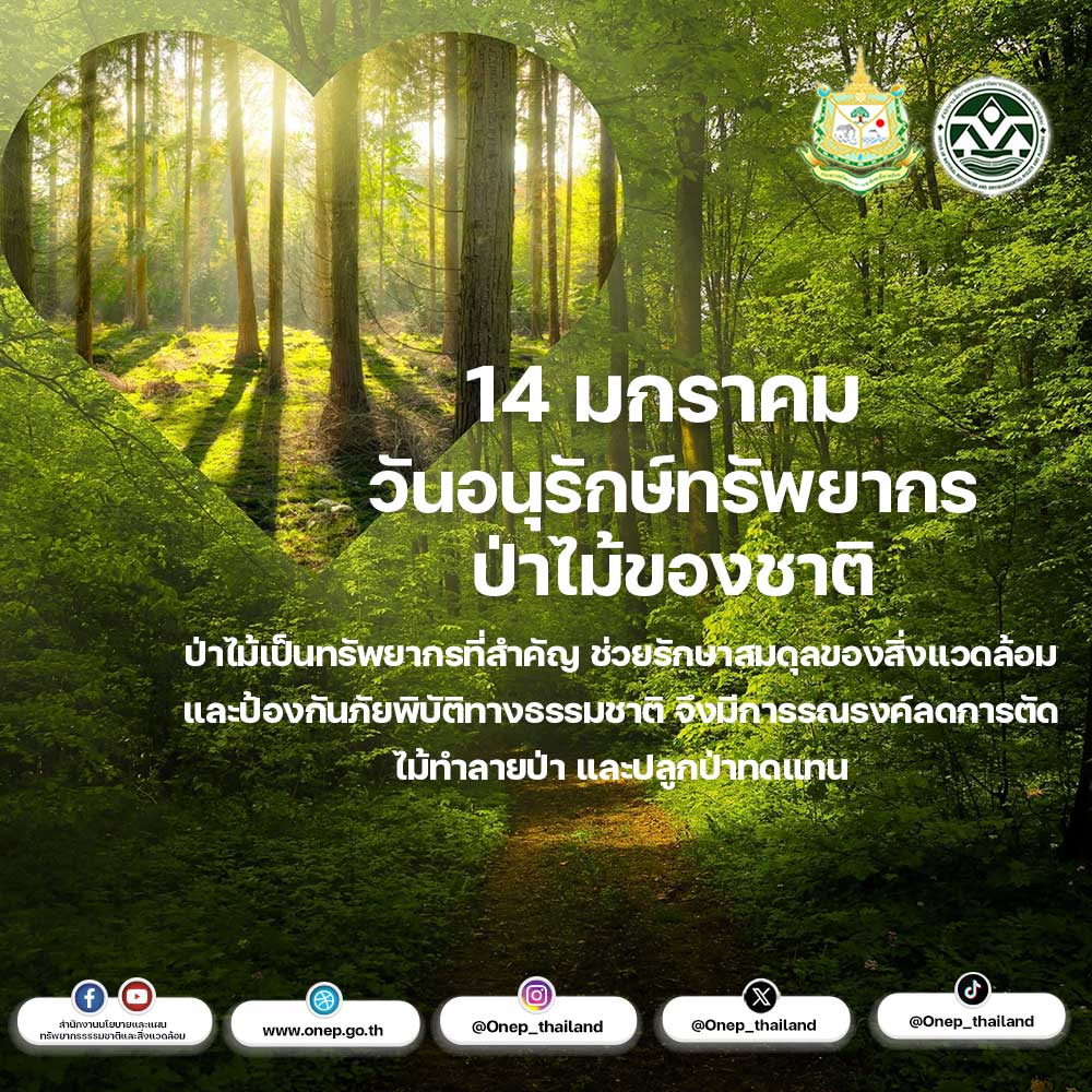 14 มกราคม "วันอนุรักษ์ทรัพยากรป่าไม้ของชาติ" 14 มกราคม "วันอนุรักษ์ทรัพยากรป่าไม้ของชาติ"