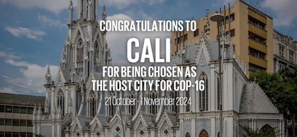 congratulations cali for being chosen as the host city for cop-16
