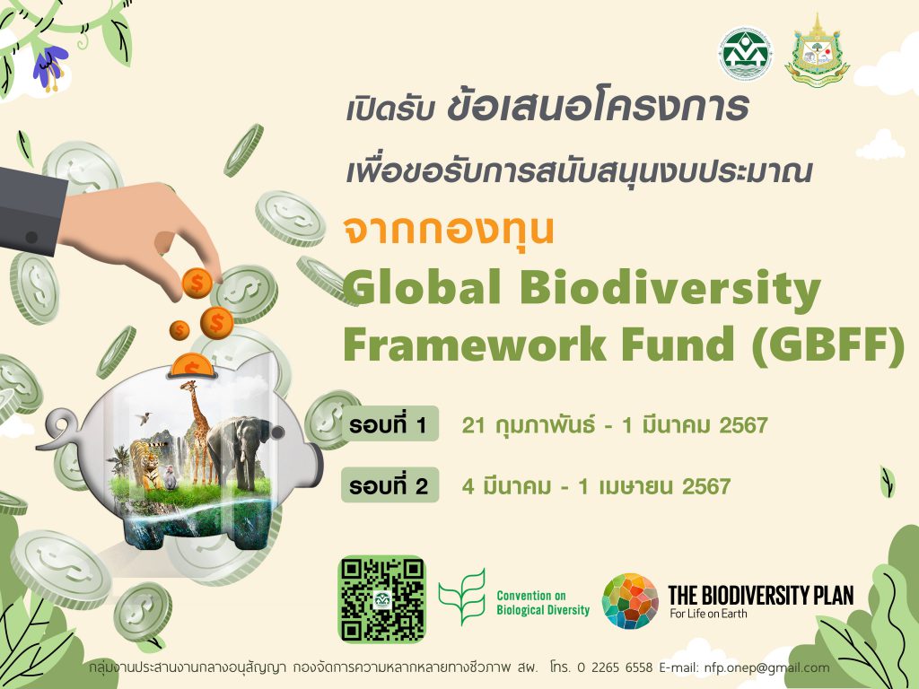 เปิดรับข้อเสนอโครงการเพื่อขอรับการสนับสนุนงบประมาณจากกองทุน Global Biodiversity Framework Fund (GBFF) เปิดรับข้อเสนอโครงการเพื่อขอรับการสนับสนุนงบประมาณจากกองทุน Global Biodiversity Framework Fund (GBFF)
