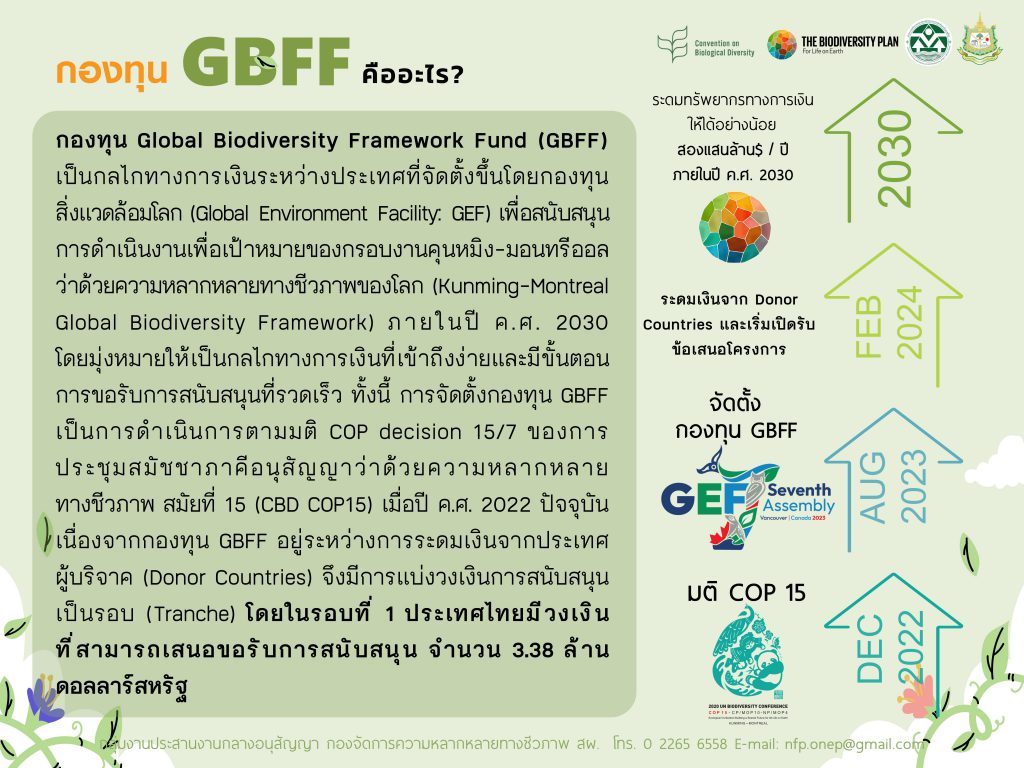 กองทุน GBFF คืออะไร กองทุน GBFF คืออะไร