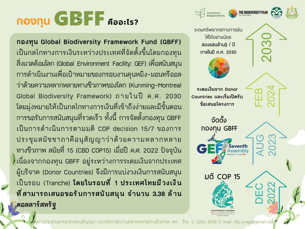 กองทุน GBFF คืออะไร