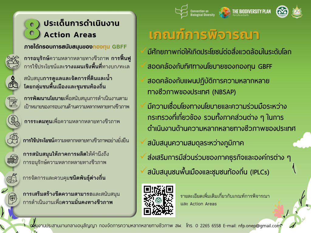 เกณฑ์การพิจารณา และ Action Areas