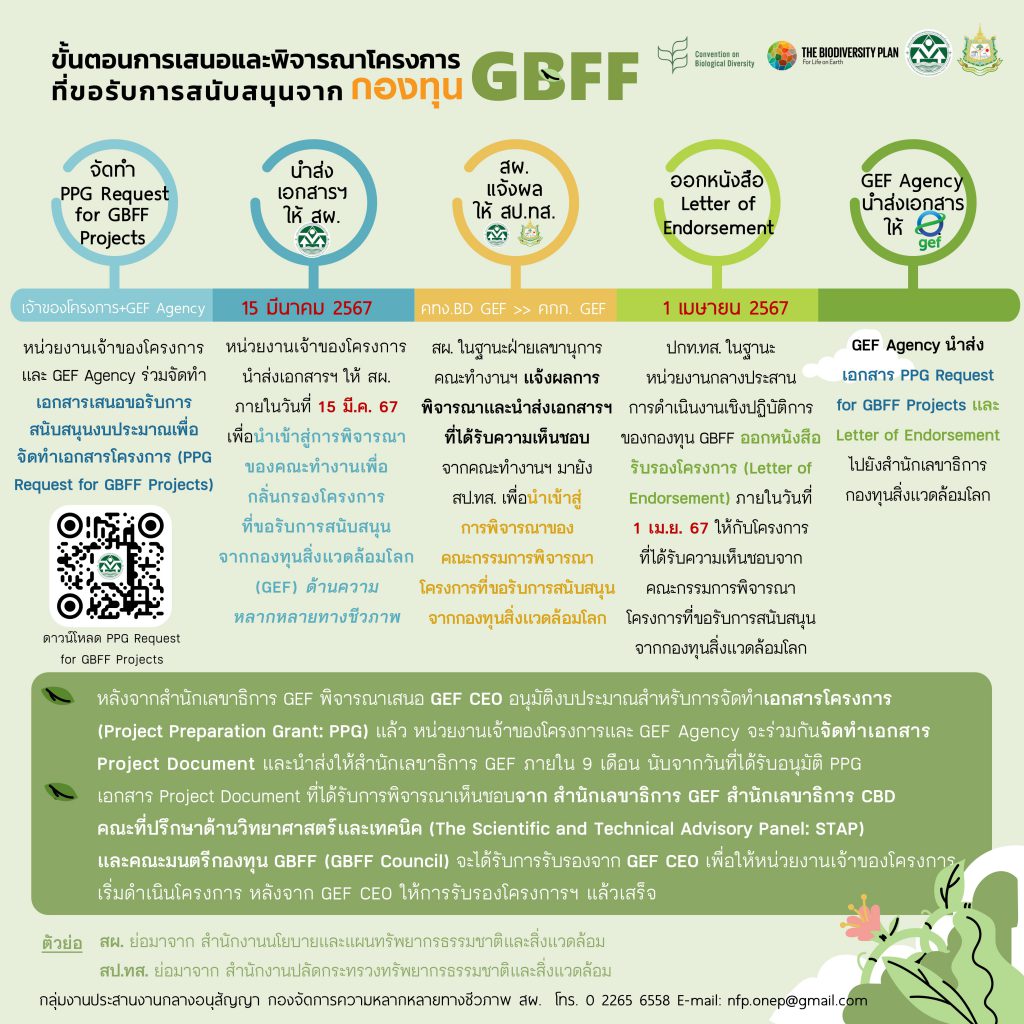 ขั้นตอนการเสนอและพิจารณาโครงการ GBFF ขั้นตอนการเสนอและพิจารณาโครงการ GBFF