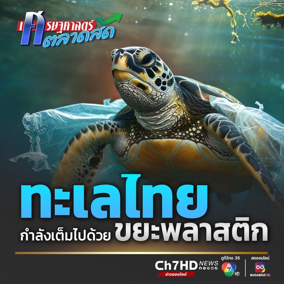 ทะเลไทยกำลังเต็มไปด้วยขยะพลาสติก ทะเลไทยกำลังเต็มไปด้วยขยะพลาสติก