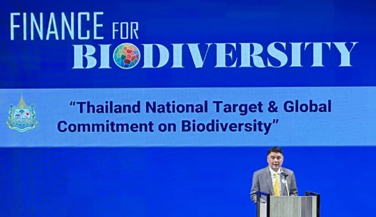 “Fin4Bio” ขับเคลื่อนภาคการเงินเพื่อความหลากหลายทางชีวภาพ สู่ COP16 CBD “Fin4Bio” ขับเคลื่อนภาคการเงินเพื่อความหลากหลายทางชีวภาพ สู่ COP16 CBD