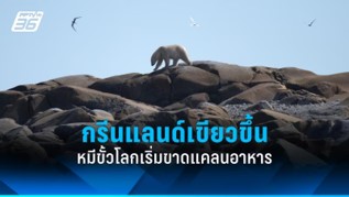 หมีขั้วโลกได้รับผลกระทบจากการละลายของน้ำแข็ง หมีขั้วโลกได้รับผลกระทบจากการละลายของน้ำแข็ง