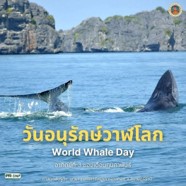 วาฬเป็นสัตว์ที่สำคัญต่อระบบนิเวศและธรรมชาติ วาฬเป็นสัตว์ที่สำคัญต่อระบบนิเวศและธรรมชาติ
