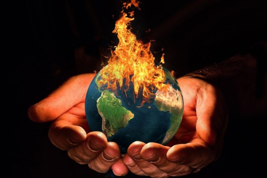 การสูญเสียความหลากหลายทางชีวภาพจากโลกเดือด ถึงจุดจบมนุษยชาติ?