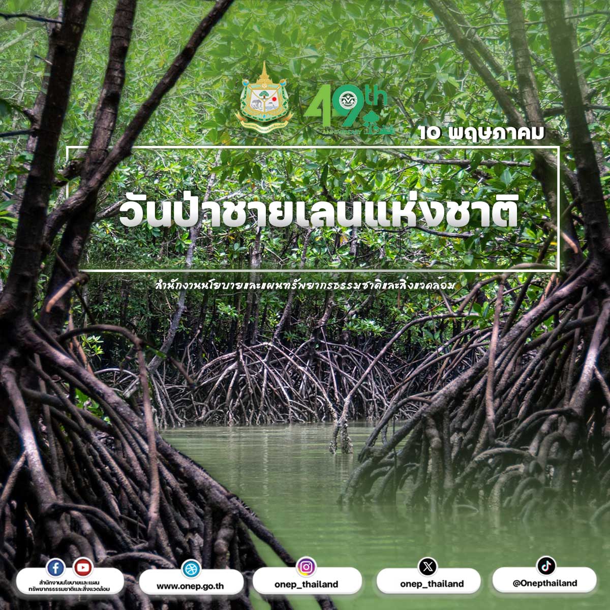 10 พฤษภาคม วันป่าชายเลนแห่งชาติ 10 พฤษภาคม วันป่าชายเลนแห่งชาติ
