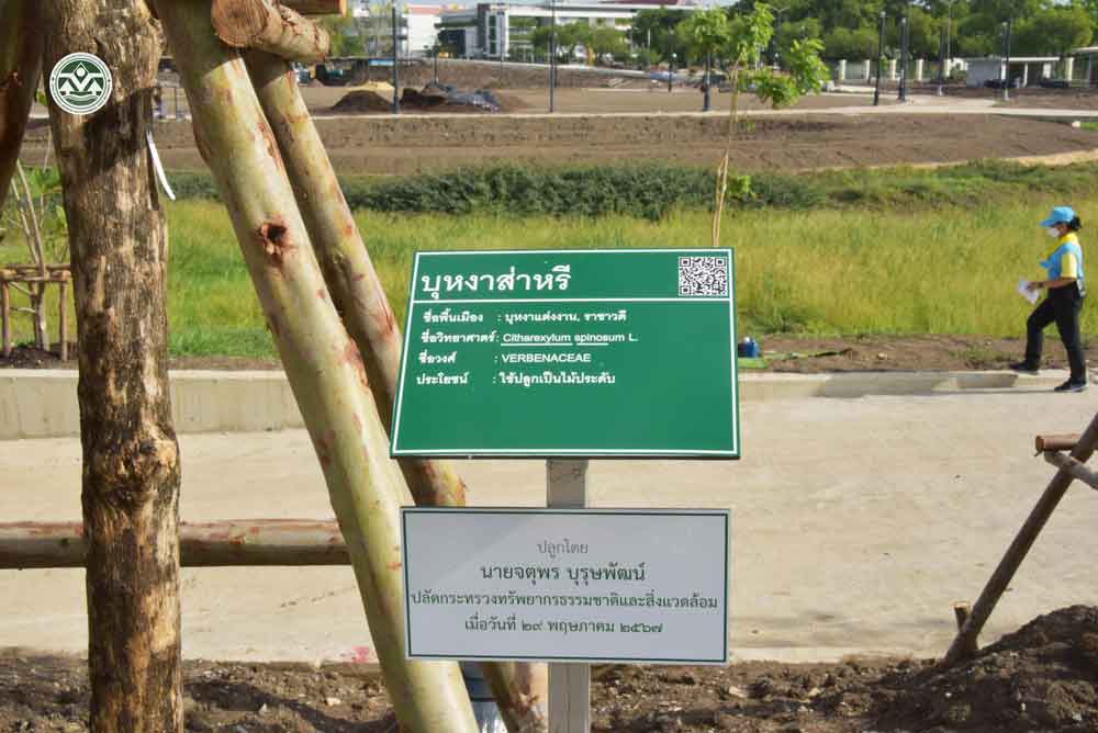 สผ. ร่วมกิจกรรมปลูกต้นไม้เฉลิมพระเกียรติพระบาทสมเด็จพระเจ้าอยู่หัว เนื่องในโอกาสพระราชพิธีมหามงคลเฉลิมพระชนมพรรษา 6 รอบ 28 กรกฎาคม 2567 สผ. ร่วมกิจกรรมปลูกต้นไม้เฉลิมพระเกียรติพระบาทสมเด็จพระเจ้าอยู่หัว เนื่องในโอกาสพระราชพิธีมหามงคลเฉลิมพระชนมพรรษา 6 รอบ 28 กรกฎาคม 2567
