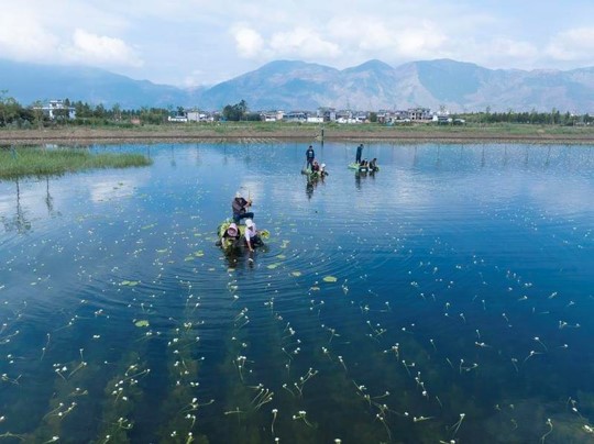 จีนคุ้มครองสิ่งแวดล้อมดีขึ้นในปี 2023 หนุนคุณภาพอากาศ-น้ำก้าวหน้า จีนคุ้มครองสิ่งแวดล้อมดีขึ้นในปี 2023 หนุนคุณภาพอากาศ-น้ำก้าวหน้า