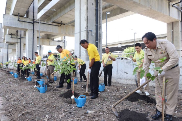 ดอนเมือง ปลูกต้นไม้สร้างพื้นที่สีเขียว เนื่องในวันสิ่งแวดล้อมโลก ดอนเมือง ปลูกต้นไม้สร้างพื้นที่สีเขียว เนื่องในวันสิ่งแวดล้อมโลก