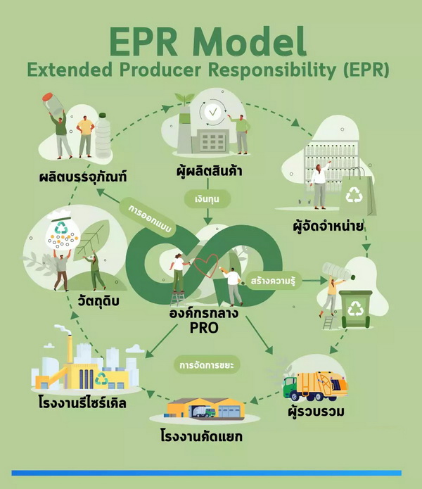 โมเดล EPR โมเดล EPR