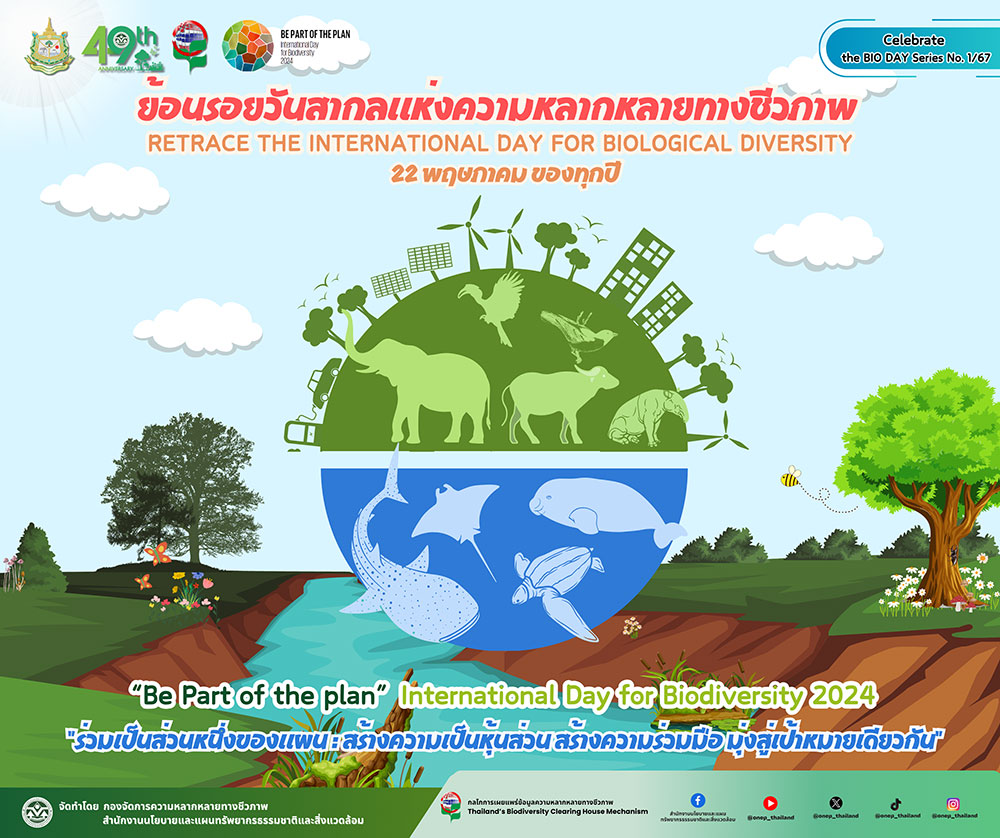ย้อนรอยวันสากลความหลากหลายทางชีวภาพ ย้อนรอยวันสากลความหลากหลายทางชีวภาพ