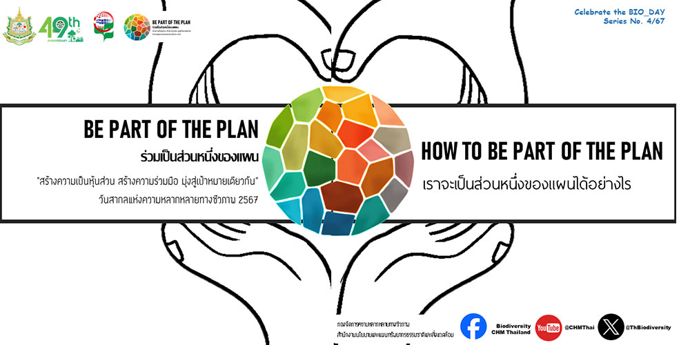 ธีม…วันสากลแห่งความหลากหลายทางชีวภาพ ประจำปี 2567 ธีม…วันสากลแห่งความหลากหลายทางชีวภาพ ประจำปี 2567