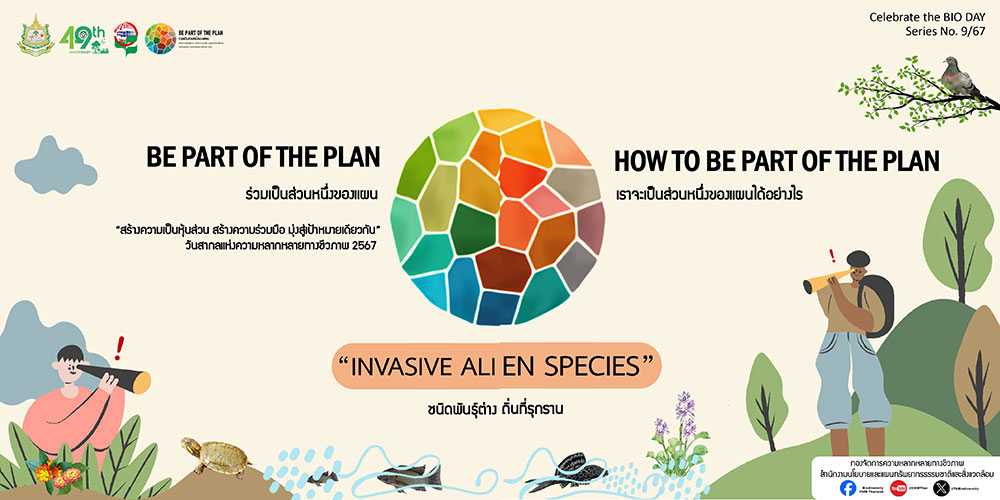 ชนิดพันธุ์ต่างถิ่นที่รุกราน (Invasive Alien Species) ชนิดพันธุ์ต่างถิ่นที่รุกราน (Invasive Alien Species)