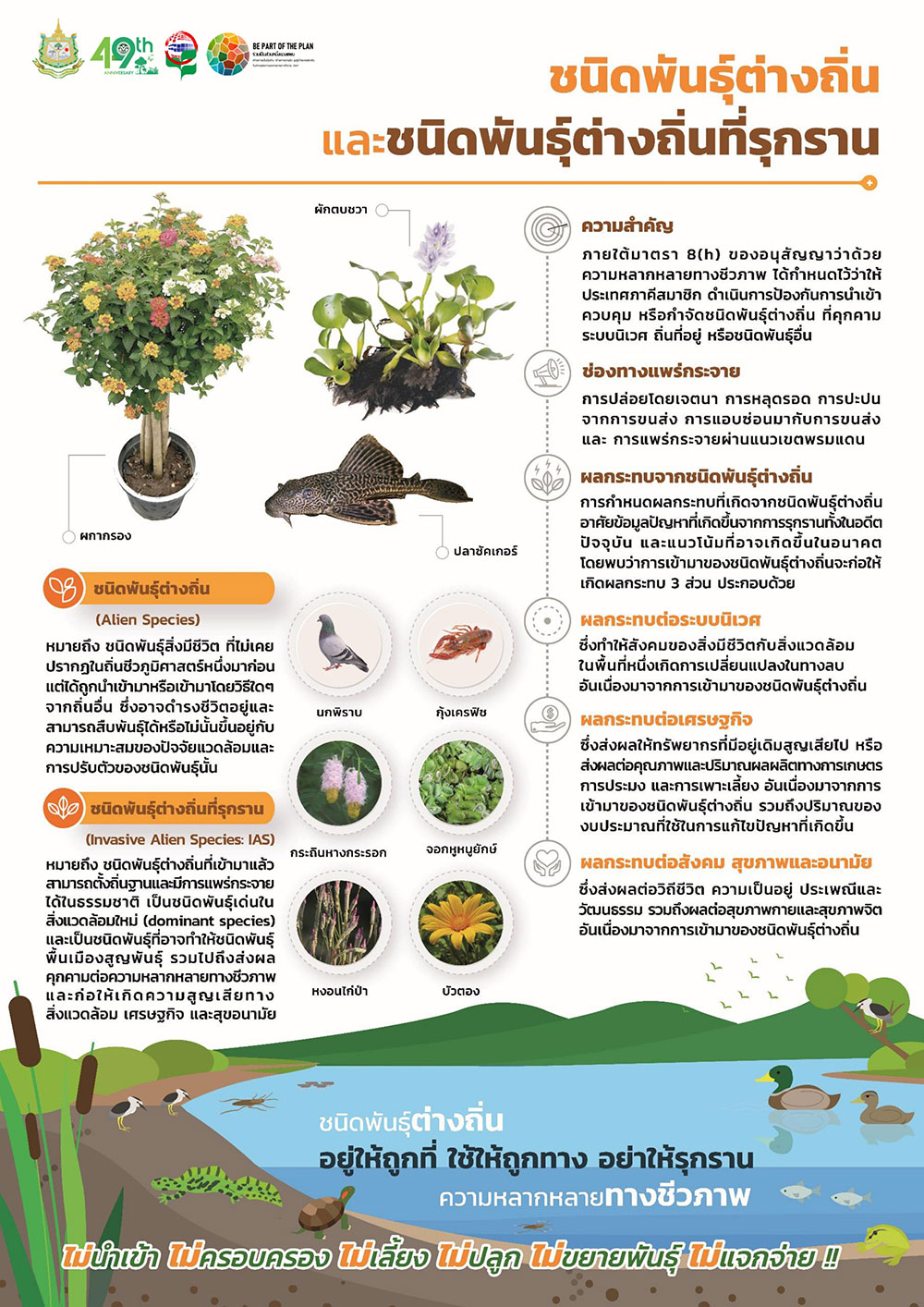 ชนิดพันธุ์ต่างถิ่นและชนิดพันธุ์ต่างถิ่นที่รุกราน