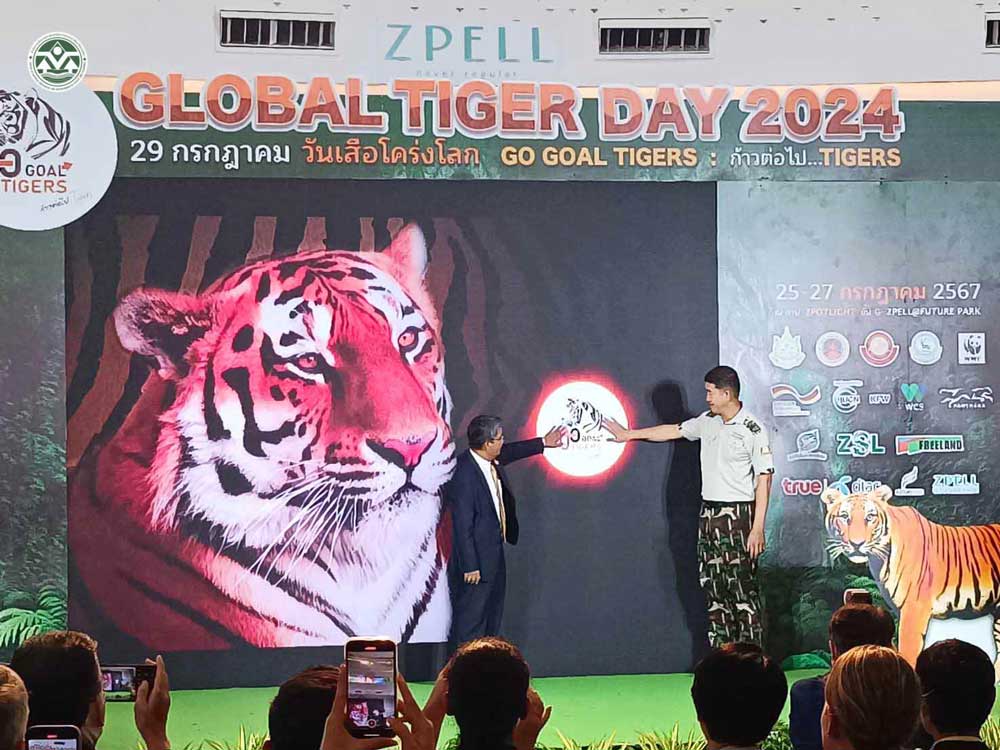พิธีเปิดงานวันเสือโคร่งโลก ประจำปี 2567 (Global Tiger Day) พิธีเปิดงานวันเสือโคร่งโลก ประจำปี 2567 (Global Tiger Day)